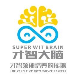 才智大脑品牌logo