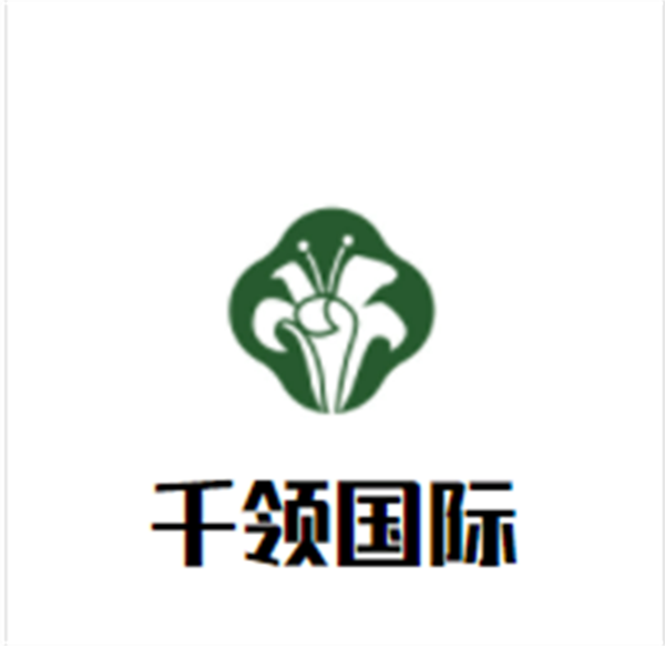 千领国际加盟