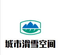 城市滑雪空间加盟