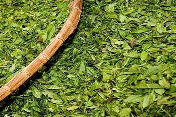 千氏茗茶业产品 门店图片