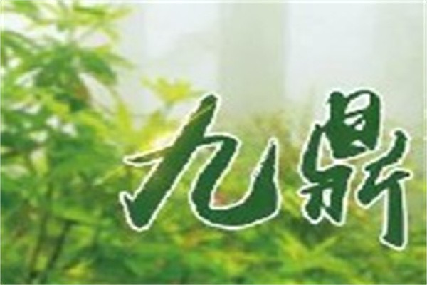 九鼎竹盐加盟