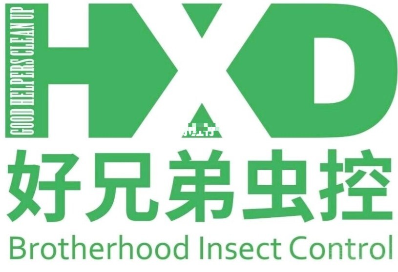 好兄弟虫控