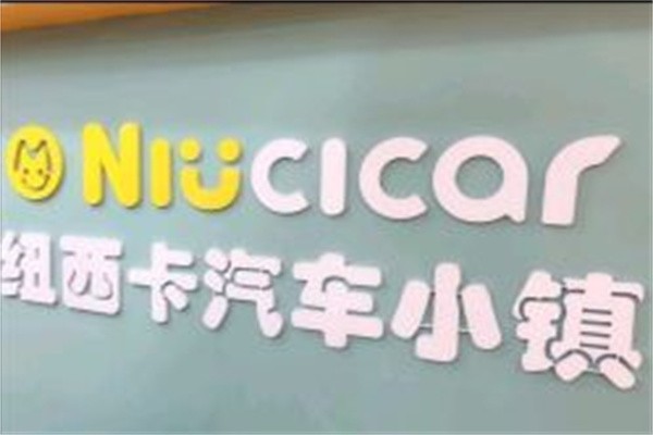 纽西卡汽车加盟