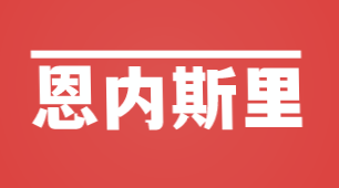 恩内斯里加盟