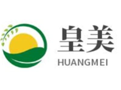 皇美智能家居加盟