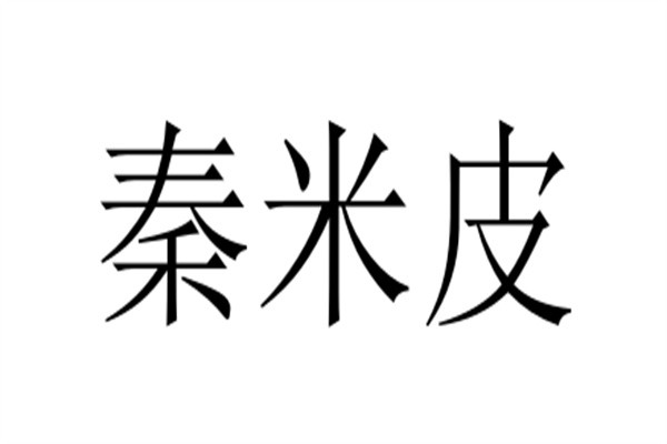 秦米皮加盟