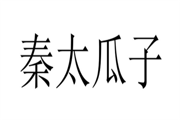 秦太瓜子加盟