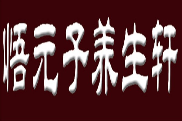 悟元子养生轩加盟