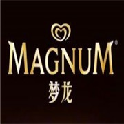 梦龙雪糕加盟