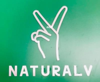 天然呆naturalv奶茶加盟