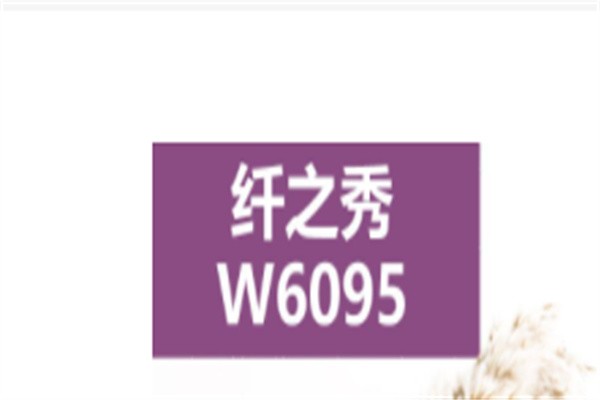 纤之秀加盟