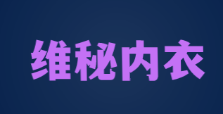 维秘内衣加盟