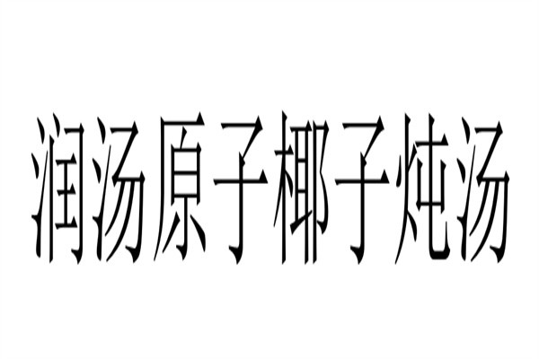 润汤原子椰子炖汤品牌logo