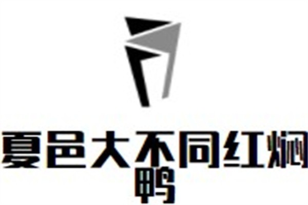 夏邑大不同红焖鸭加盟