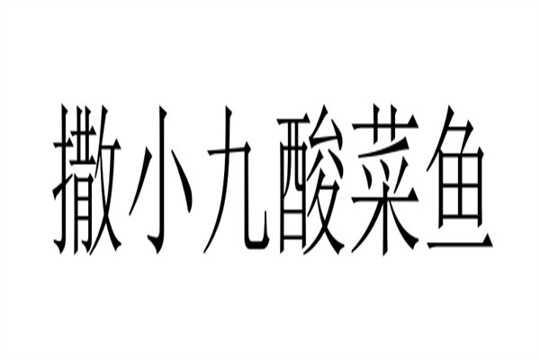 撒小九酸菜鱼加盟