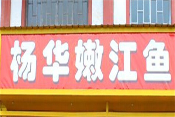 杨华嫩江鱼加盟