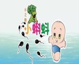 小蝌蚪儿童水上乐园加盟