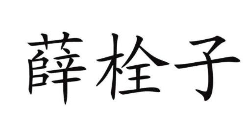 薛栓子擀面皮加盟