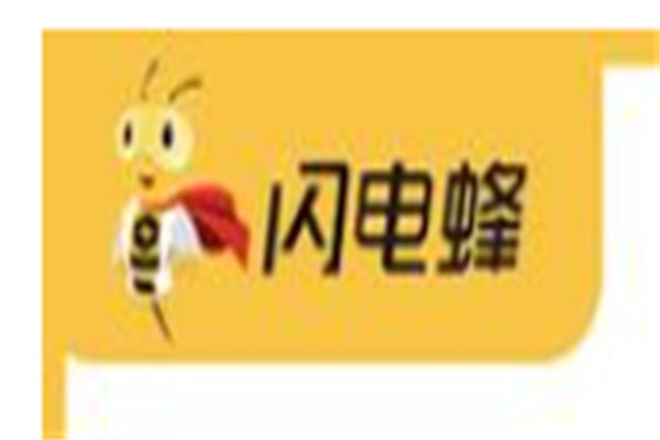 闪电蜂维修品牌logo