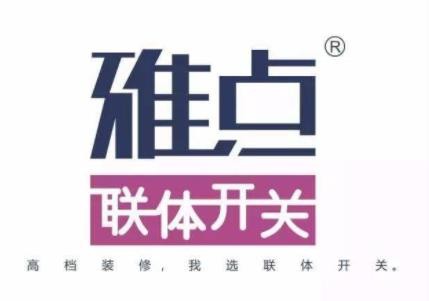雅点开关加盟