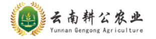 桑黄种植加盟