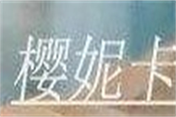 樱妮卡蛋糕加盟