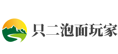 只二泡面玩家