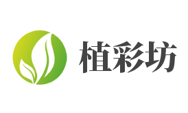 植彩坊加盟