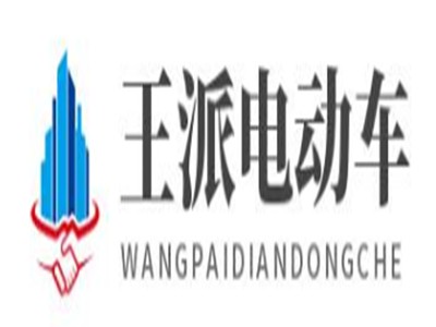 王派电动车加盟