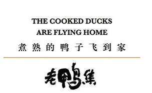 煮熟的鸭子飞到家加盟