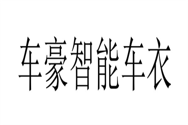 车豪智能车衣加盟