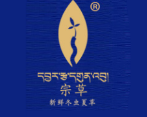 宗草冬虫夏草加盟