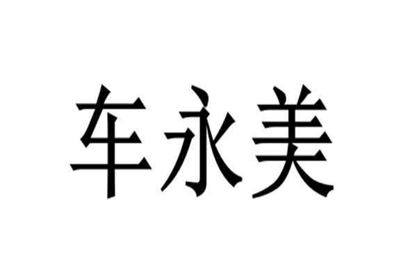车永美品牌logo
