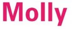 molly盲盒店加盟