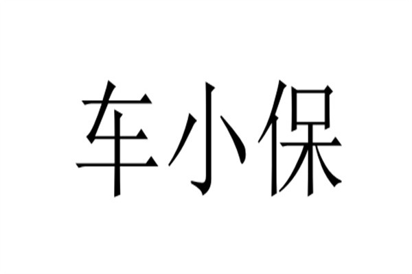 车小保加盟