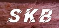 skb奶茶加盟