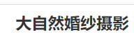 大自然婚纱摄影品牌logo