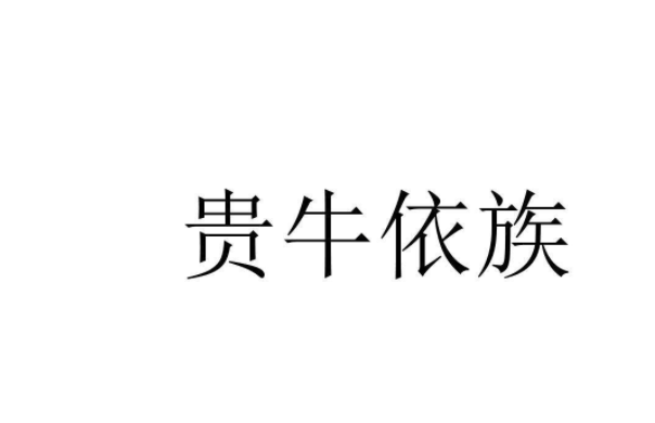 贵牛依族品牌logo