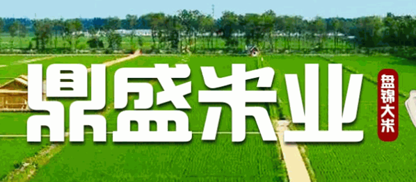 鼎晟米业加盟