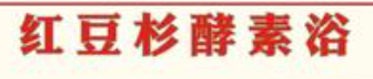 红豆杉养生酵素浴加盟