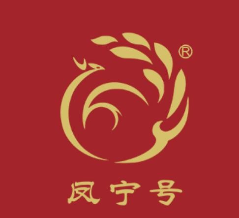 凤宁加盟