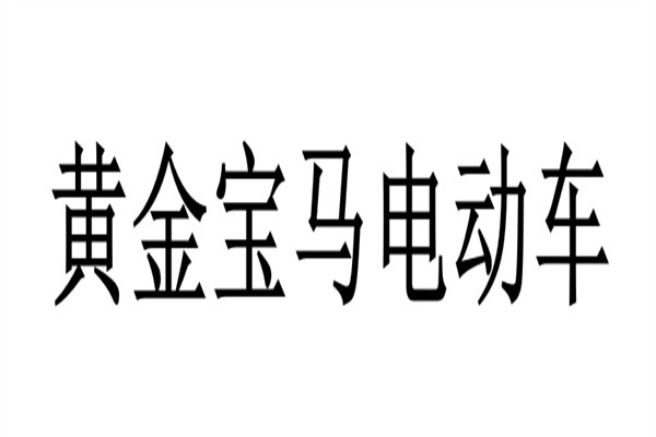 黄金宝马电动车加盟