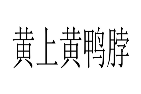 黄上黄鸭脖加盟
