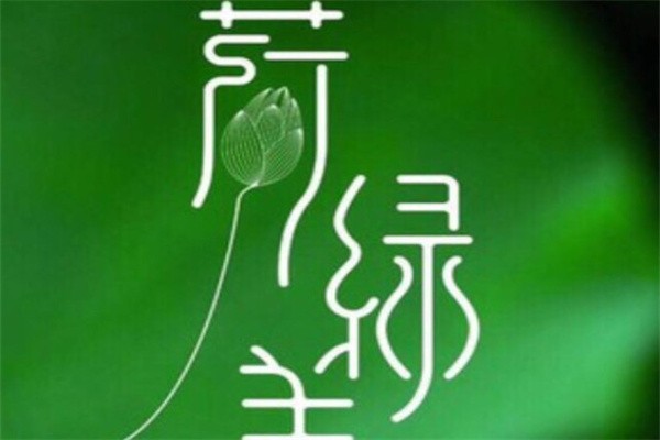 荷绿美加盟