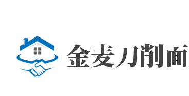 金麦刀削面品牌logo