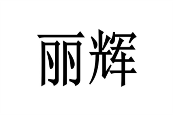 丽辉加盟