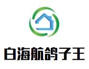 白海航鸽子王加盟