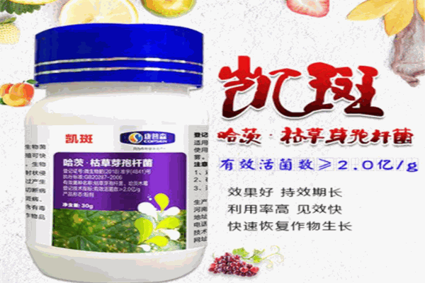 康普森产品 门店图片