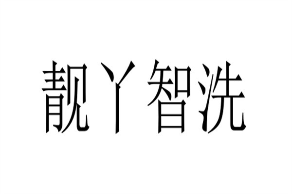 靓丫智洗加盟