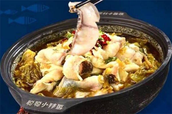 聪聪小钵鱼产品 门店图片